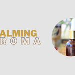 Essential Body Oil | Ankh Ra Body Oil | MOLIAE Beauty