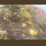 MA’at Egyptian Dubai Chocolate Bars | Pistachio Butter Cream | Egyptian Dates | Cranberries | GOLD Dust