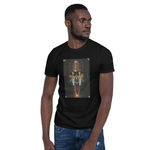 PMTR NFTS Divine Solar Apex Tshirts Collection